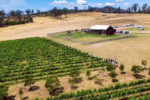 Tasmanian Wine Tour - Accommodation Mooloolaba 3
