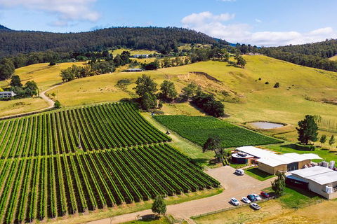 Tasmanian Wine Tour - Accommodation Mooloolaba 4