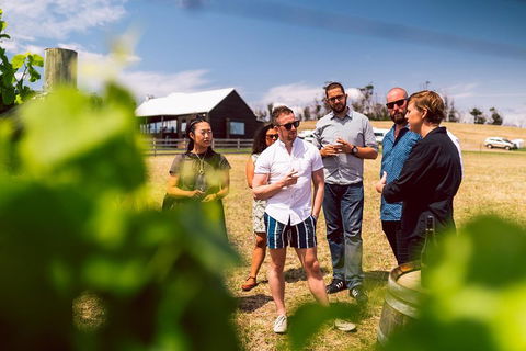 Tasmanian Wine Tour - Accommodation Mooloolaba 5