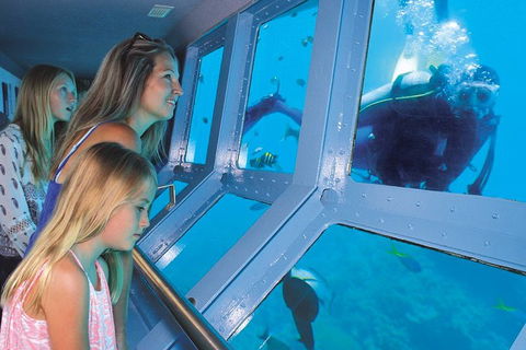 Quicksilver Outer Great Barrier Reef Snorkel Cruise From Palm Cove - Accommodation Mooloolaba 0