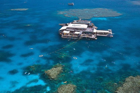 Quicksilver Outer Great Barrier Reef Snorkel Cruise From Palm Cove - Accommodation Mooloolaba 1