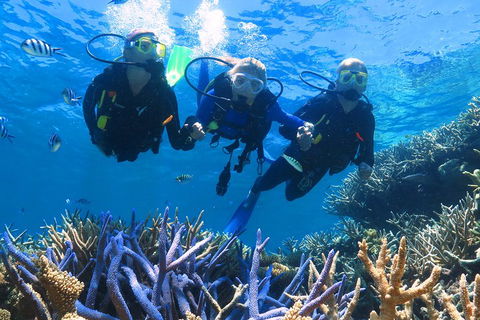 Quicksilver Outer Great Barrier Reef Snorkel Cruise From Palm Cove - Accommodation Mooloolaba 3