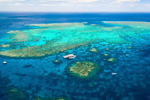 Quicksilver Outer Great Barrier Reef Snorkel Cruise From Palm Cove - Accommodation Mooloolaba 4