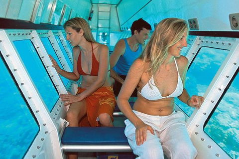 Quicksilver Outer Great Barrier Reef Snorkel Cruise From Palm Cove - Accommodation Mooloolaba 5