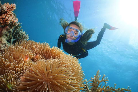 Quicksilver Outer Great Barrier Reef Snorkel Cruise From Port Douglas - Accommodation Mooloolaba 2
