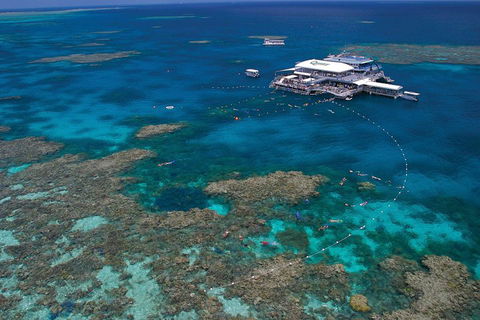 Quicksilver Outer Great Barrier Reef Snorkel Cruise From Port Douglas - Accommodation Mooloolaba 3