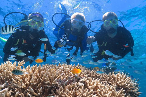 Quicksilver Outer Great Barrier Reef Snorkel Cruise From Port Douglas - Accommodation Mooloolaba 4