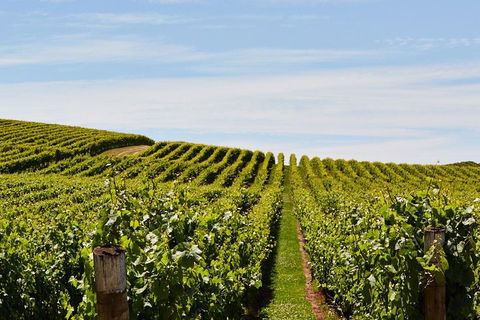 West Tamar Wine Tour - Accommodation Mooloolaba 2