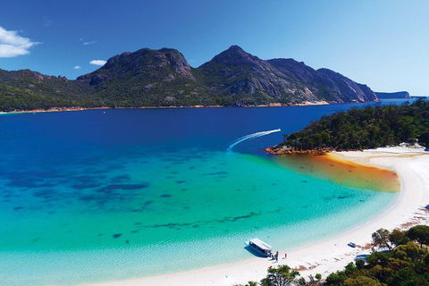 Wineglass Bay Private Charter Service - Accommodation Mooloolaba 1