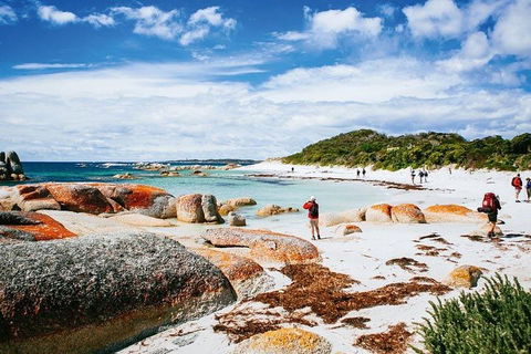 Wineglass Bay Private Charter Service - Accommodation Mooloolaba 3