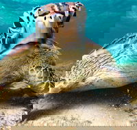 Sail Snorkel SUP  Kayak Charter Whitsundays - Accommodation Mooloolaba