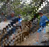 Fully guided E-Mountain Bike Tour on the beautiful Mornington Peninsula. - Accommodation Mooloolaba