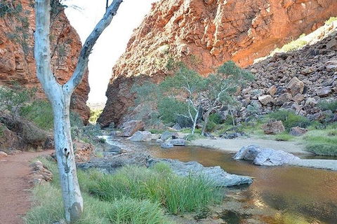 Alice Springs, Uluru Ayers Rock & Kings Canyon 8 Days Touring Package - Accommodation Mooloolaba 2
