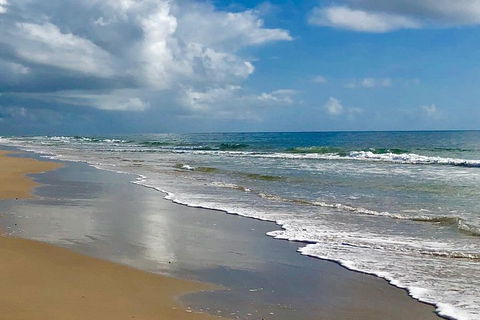 3 Nights 2 Full Days Private Guided Tour Of The Sunshine Coast And Hinterland - Accommodation Mooloolaba 4