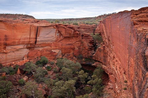 Uluru, Kata Tjuta And Kings Canyon Camping Safari From Ayers Rock - Accommodation Mooloolaba 1