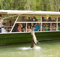 Hartley's Crocodile Adventure Half-Day Tour - Accommodation Mooloolaba