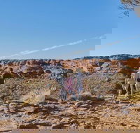 The Amazing Kings Canyon 4-Hours Walking Tour and Hike - Accommodation Mooloolaba