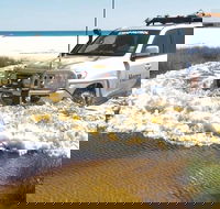 Full-Day Moreton Island 4x4 Sightseeing Tour - Accommodation Mooloolaba
