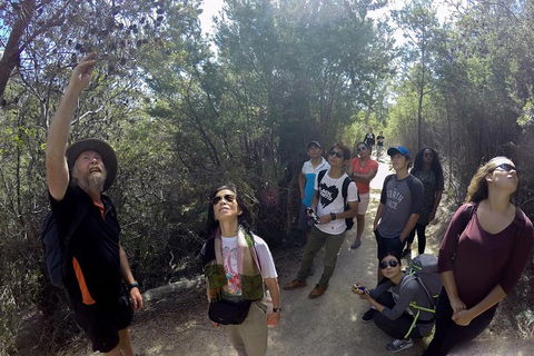 Active Day Tour One-Way From Launceston To Hobart Via Wineglass Bay - Accommodation Mooloolaba 0