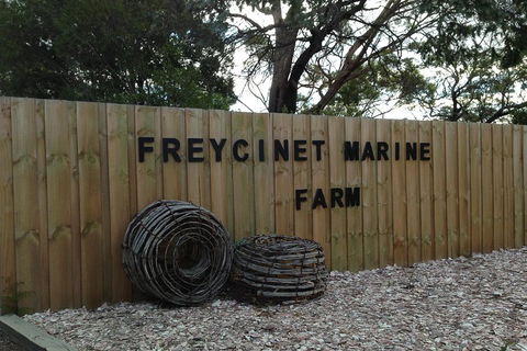Active Day Tour One-Way From Launceston To Hobart Via Wineglass Bay - Accommodation Mooloolaba 3