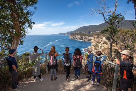 Historic Port Arthur Day Trip From Hobart Including Cliff-Top Walk To Waterfall Bay - Accommodation Mooloolaba 0