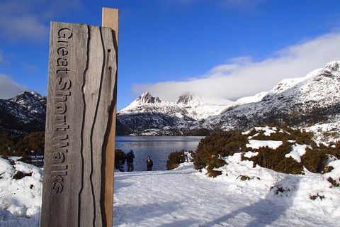 Cradle Mountain Active Day Trip From Launceston - Accommodation Mooloolaba 3