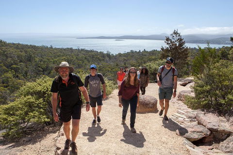 3-Day Tasmania Combo: Launceston To Hobart Active Tour Including Cradle Mountain, Freycinet National Park And Port Arthur - Accommodation Mooloolaba 5