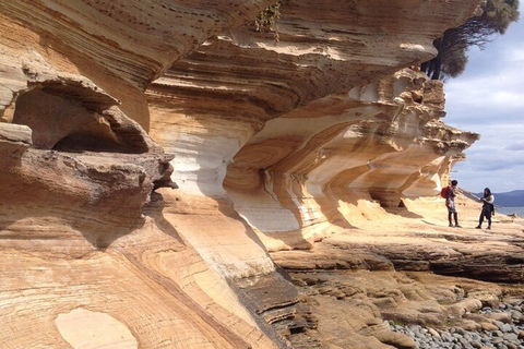 Hobart Minibus Full-Day Private Tour - Accommodation Mooloolaba 0