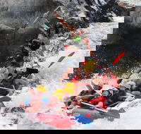 Barron Gorge National Park Half-Day White Water Rafting from Cairns or Port Douglas - Accommodation Mooloolaba