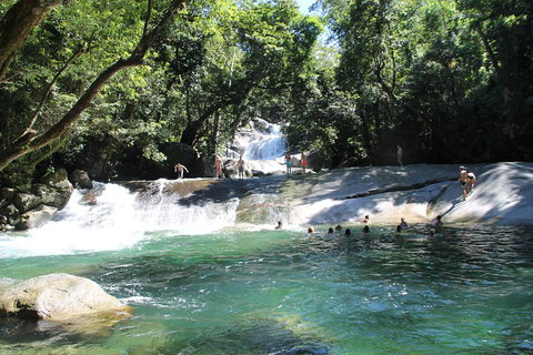 Double Pack-Ancient Rainforest And Waterfalls! - Accommodation Mooloolaba 2