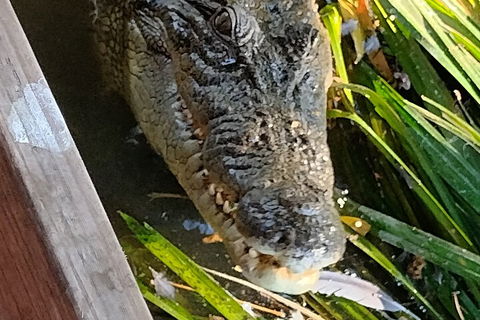 Litchfield Park Adventures And Jumping Crocodile Cruise + Butterfly Farm - Accommodation Mooloolaba 1