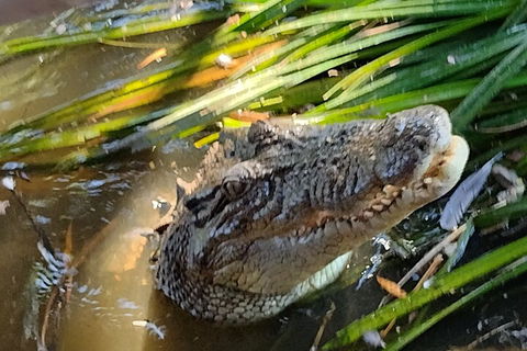 Litchfield Park Adventures And Jumping Crocodile Cruise + Butterfly Farm - Accommodation Mooloolaba 4