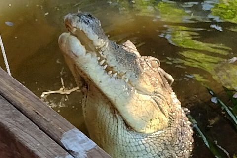 Litchfield Park Adventures And Jumping Crocodile Cruise + Butterfly Farm - Accommodation Mooloolaba 5