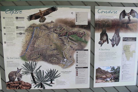 Jumping Crocodile Cruise And Berry Springs Nature Park - Accommodation Mooloolaba 2