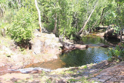 Jumping Crocodile Cruise And Berry Springs Nature Park - Accommodation Mooloolaba 3