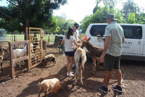 Jumping Crocodile Cruise And Berry Springs Nature Park - Accommodation Mooloolaba 4