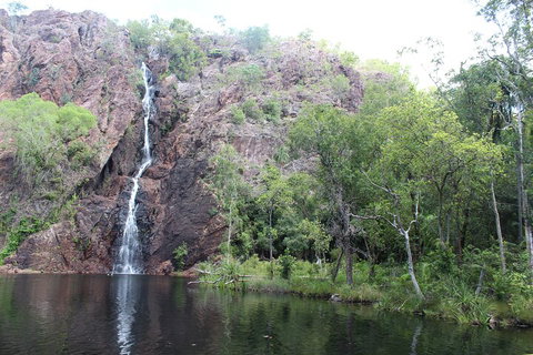 Jumping Crocodile Cruise And Berry Springs Nature Park - Accommodation Mooloolaba 5