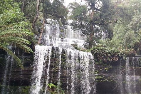 6-Day Hearty Tasmania Tour (Tasmania In A Circle) - Accommodation Mooloolaba 0