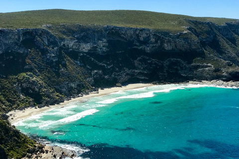 Kangaroo Island Scenic Trail Tour - Accommodation Mooloolaba 4