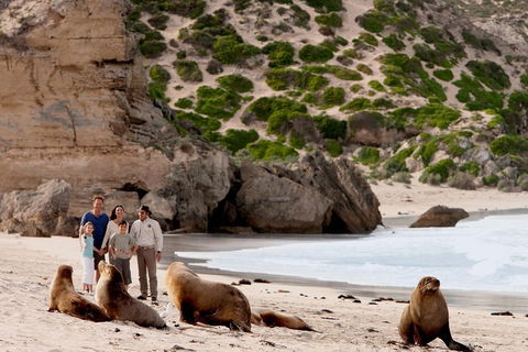 Kangaroo Island Scenic Trail Tour - Accommodation Mooloolaba 5