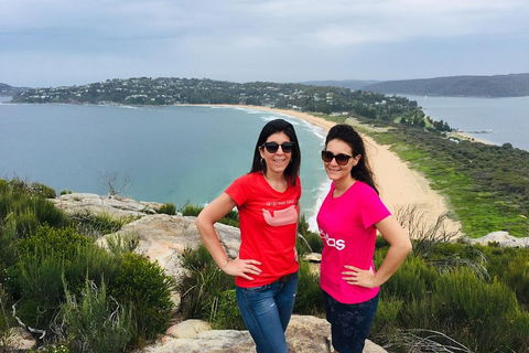 Small-Group Sydney's Northern Beaches And Ku-ring-gai National Park Bus Tour - Accommodation Mooloolaba 3