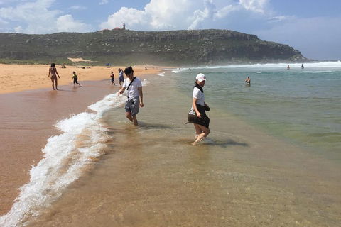 Small-Group Sydney's Northern Beaches And Ku-ring-gai National Park Bus Tour - Accommodation Mooloolaba 5