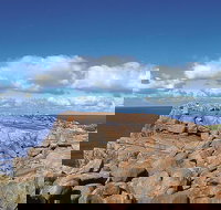 4 Day Tour Albany Margaret River Valley of the Giants TreeTop Walk from Perth - Accommodation Mooloolaba