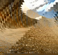 Wave Rock York Wildflowers and Aboriginal Cultural Day Tour from Perth - Accommodation Mooloolaba