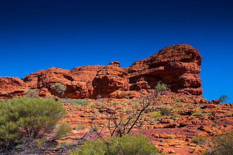 7-Day Guided Tour Of Alice Springs With Accommodation Included - Accommodation Mooloolaba 4