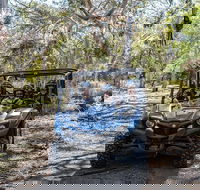Small-Group Buggy Tour at Little Sahara with Guide - Accommodation Mooloolaba