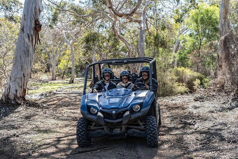 Small-Group Buggy Tour At Little Sahara With Guide - Accommodation Mooloolaba 0