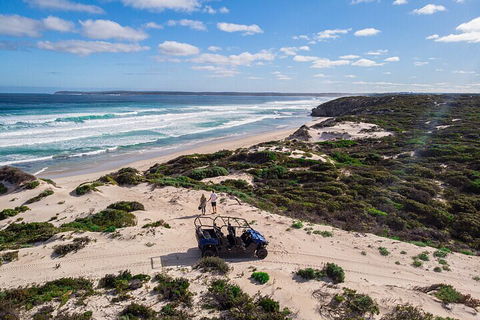Small-Group Buggy Tour At Little Sahara With Guide - Accommodation Mooloolaba 1