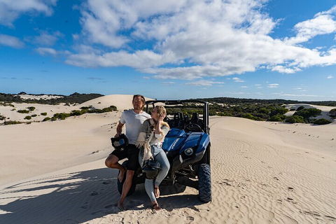 Small-Group Buggy Tour At Little Sahara With Guide - Accommodation Mooloolaba 2