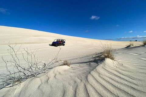 Small-Group Buggy Tour At Little Sahara With Guide - Accommodation Mooloolaba 3